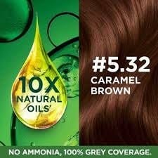 Alternative view of Garnier Color Naturals Creme Rich – 5.32 Caramel Brown